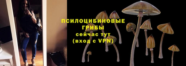 альфа пвп Бородино