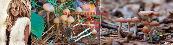 мескалин Бронницы